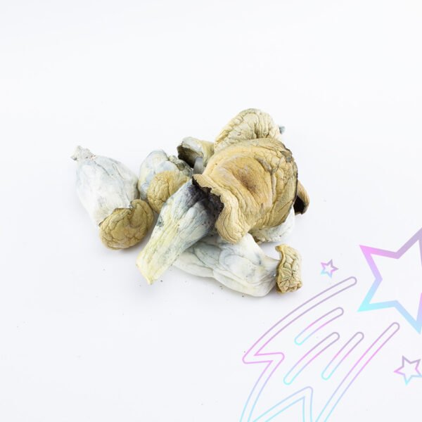 Buy psychedelics online in Melbourne